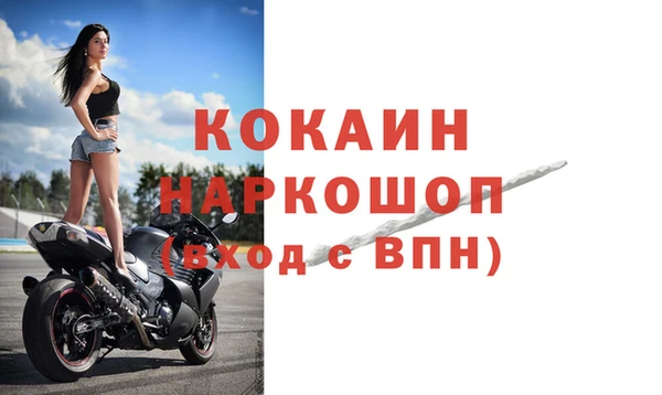 сатива Балахна