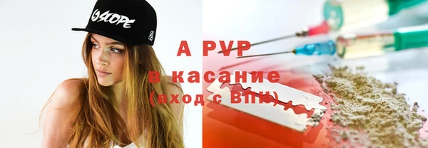 сатива Балахна