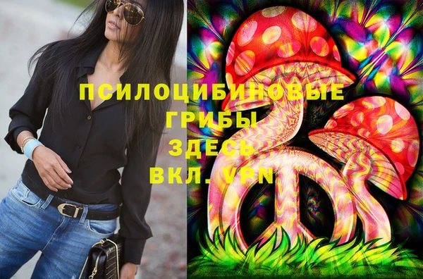 ГАЛЛЮЦИНОГЕННЫЕ ГРИБЫ Богородск