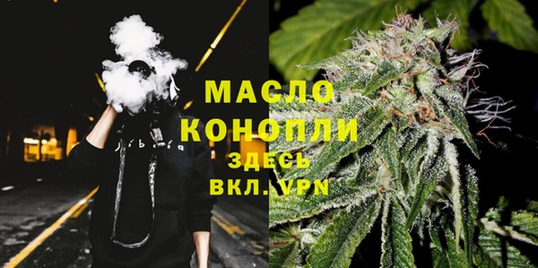 сатива Балахна